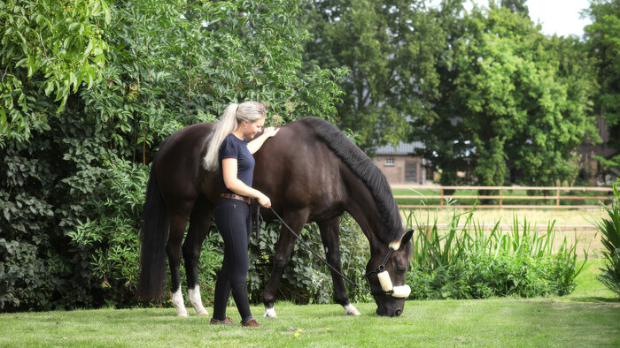 Paard in de wei met Annelotte